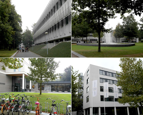 Tilburg University (Голландия)