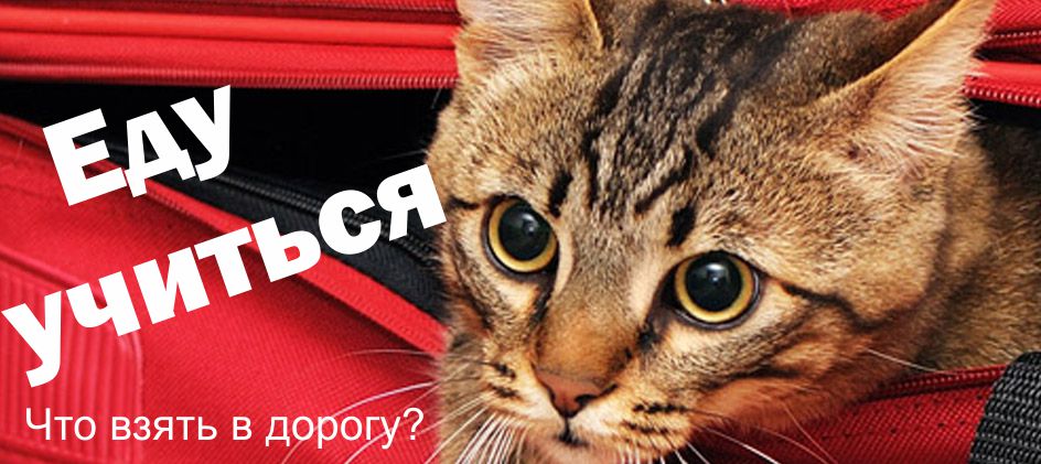 Безымянный-1